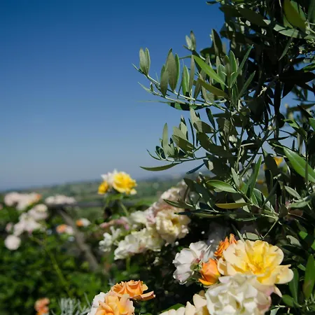 Al Crepuscolo Farm stay *