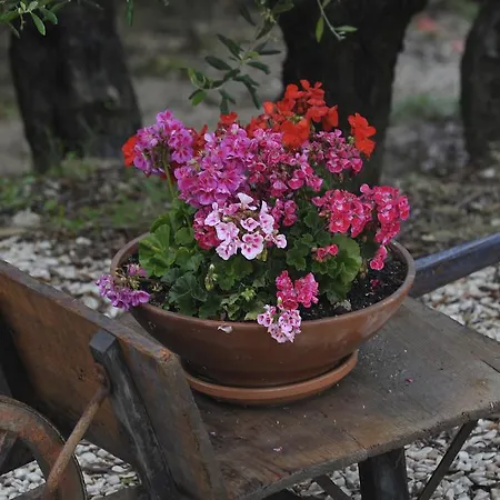 Farm stay Al Crepuscolo