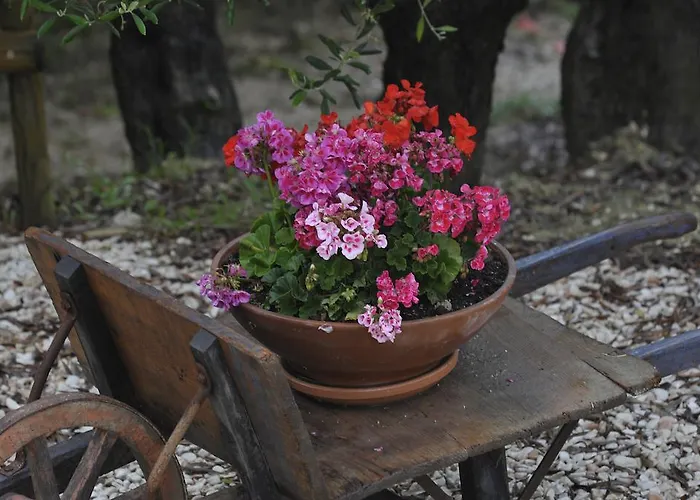 Lantgård Al Crepuscolo