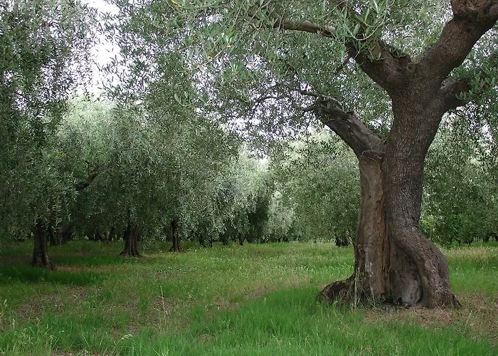 Lantgård Al Crepuscolo Recanati
