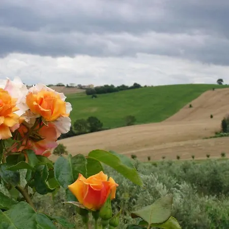 Vakantieboerderij Al Crepuscolo Recanati