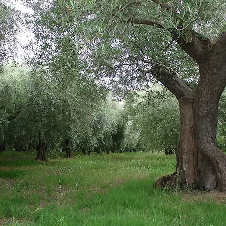 Vakantieboerderij Al Crepuscolo Recanati